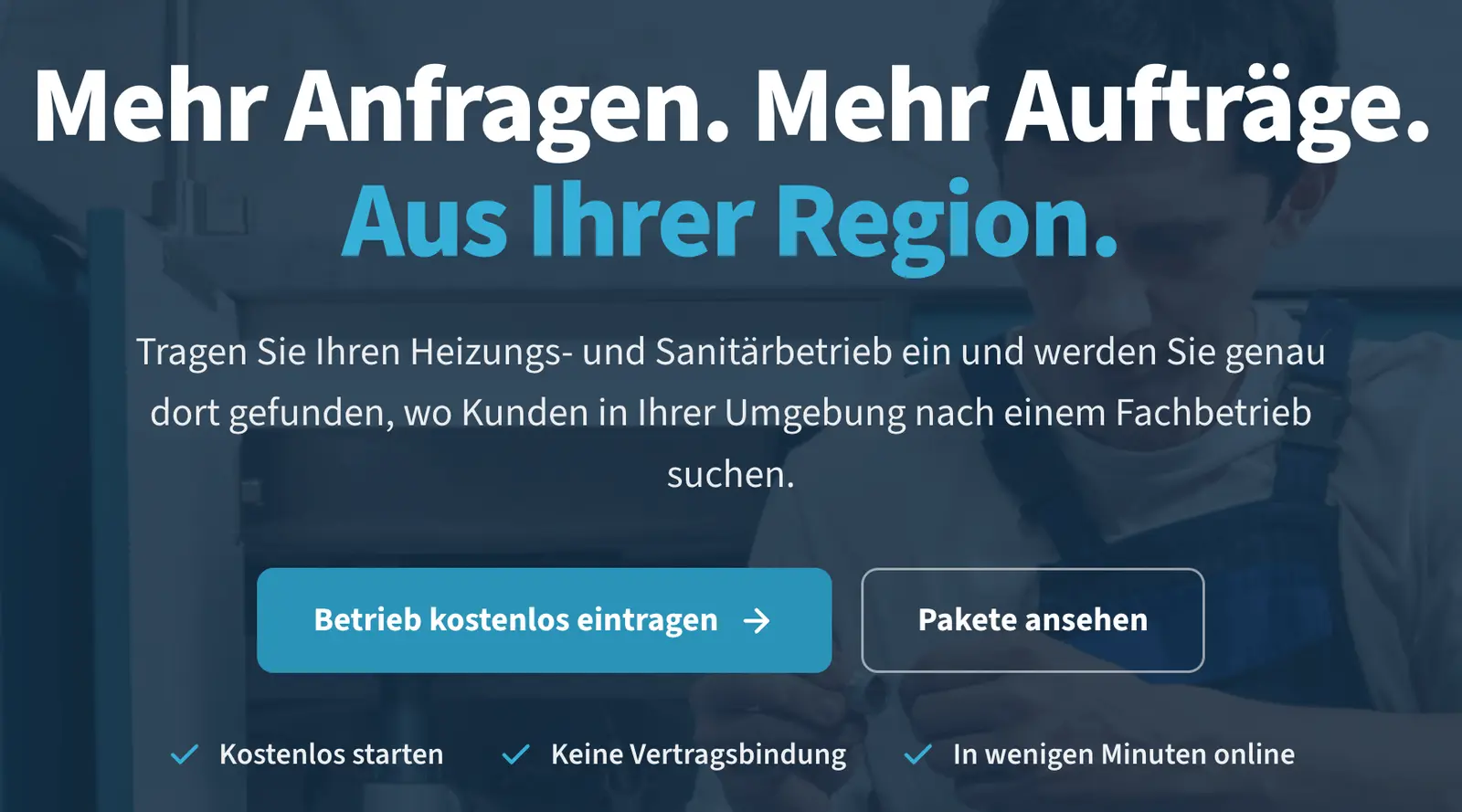 Seite von installateur.at für Betriebe: mehr Anfragen und Aufträge aus der Region